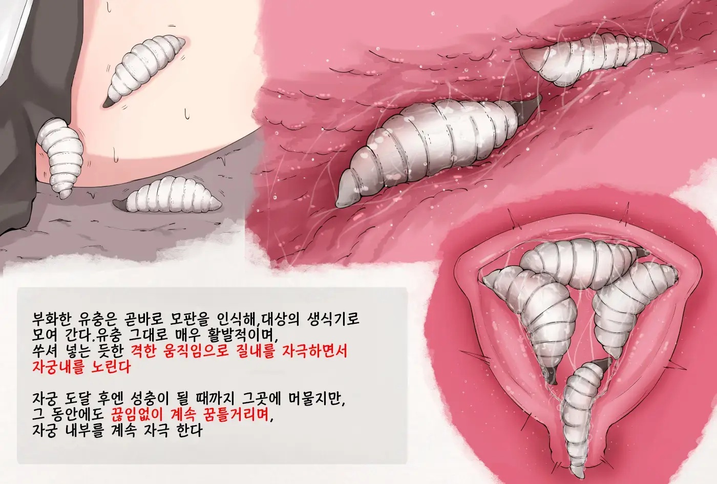 Insect Research Report EX